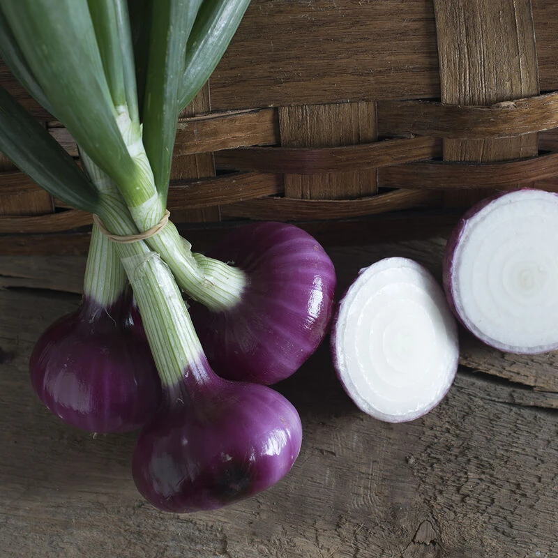 Desert Sunrise 4 Desert Sunrise - Image 2