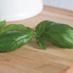 Genovese -SeedGarden Store 00911 03 genovese