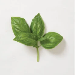 Genovese -SeedGarden Store 00911 05 genovese