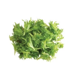 Coastline -SeedGarden Store 03268g 03 coastline