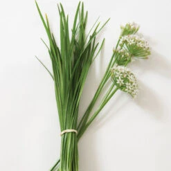 Chinese Leeks/Garlic Chives