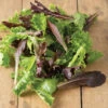 Starstruck Lettuce Mix -SeedGarden Store 04462 01 starstrucklettucemix