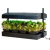SunBlaster Growlight Garden -SeedGarden Store 06743 01 growlight garden