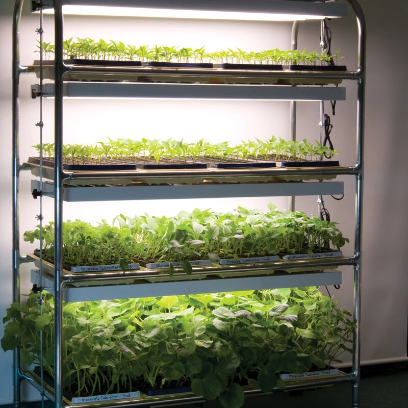 Full-Size Seedling Light Cart – 12 Trays, 384 Watts 3 Full-Size Seedling Light Cart – 12 Trays, 384 Watts