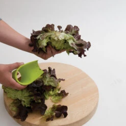 Salanova® Cutter -SeedGarden Store 07136 05 salanovacutter