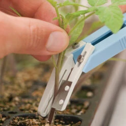 Miter-Cut Grafting Knife -SeedGarden Store 07172 04 mitercutgrft knife