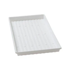 Lightweight Shallow Trays – 36 Count