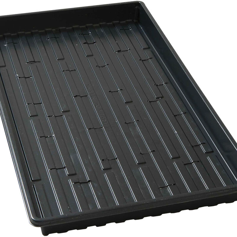 Lightweight Shallow Trays (with Holes) – 100 Count 3 Lightweight Shallow Trays (with Holes) – 100 Count