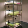 Compact Seedling Light Cart – 6 Trays, 120 Watts -SeedGarden Store 07296 01 compactsdlng light cart