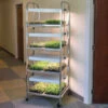 Compact Seedling Light Cart – 8 Trays, 160 Watts -SeedGarden Store 07299 01 compactseedlinglightcart 1