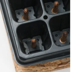 50 Cell Plug Popper -SeedGarden Store 07342 03 plugpopper50