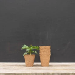 3 1/8" Round Fertil Pots β 1,370 Count