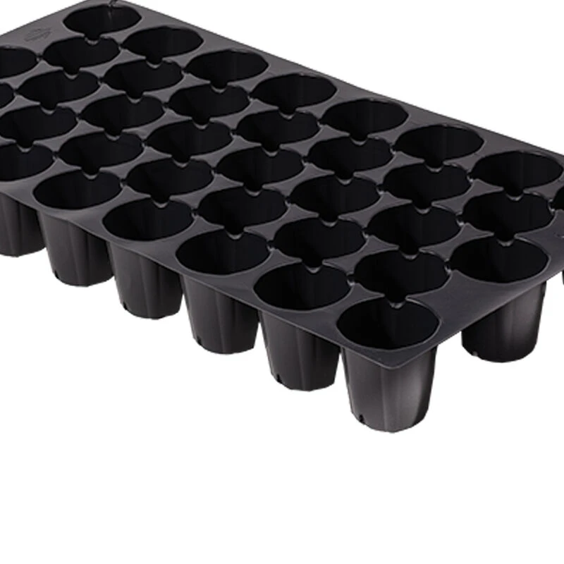 Pro-Tray 38 Cell Flats – 100 Count 3 Pro-Tray 38 Cell Flats – 100 Count