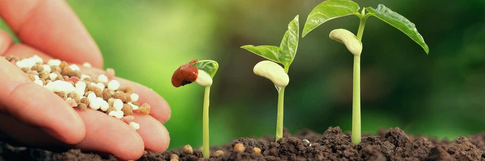 Front Page -SeedGarden Store banner875